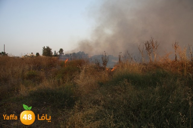 fireina7rashyaffa505 (9).JPG